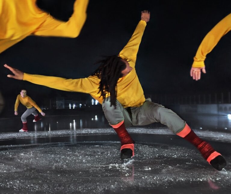 Murmuration©rollineLaporte