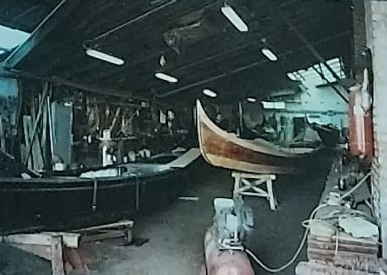 c7007629-b335-4f1f-9461-5ed6fedfa7c2 copia 01