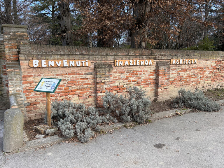 Lavorare in autonomia nell’azienda agricola don Orione