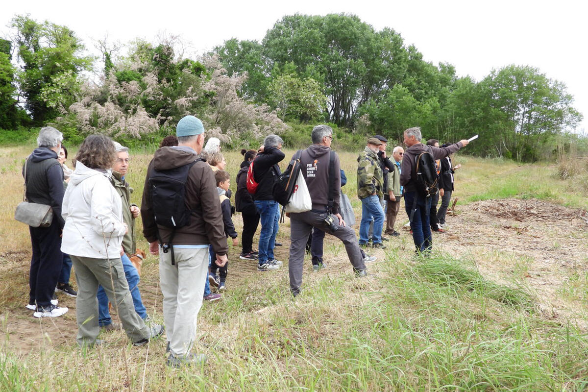 oasi-san-nicolo-volontari-lipu-venezia-spiegano-intervento