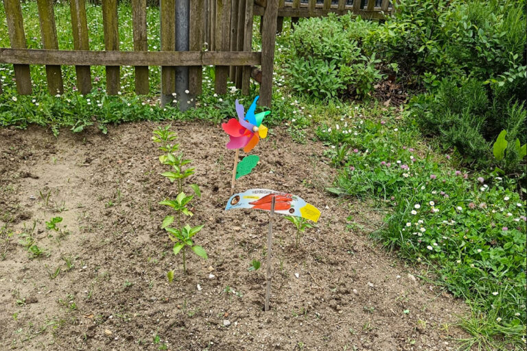 orto-green-school-scuole-csv-venezia