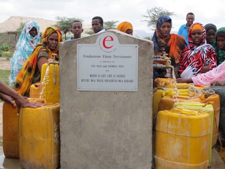 pozzo Darwonaji 2014-1