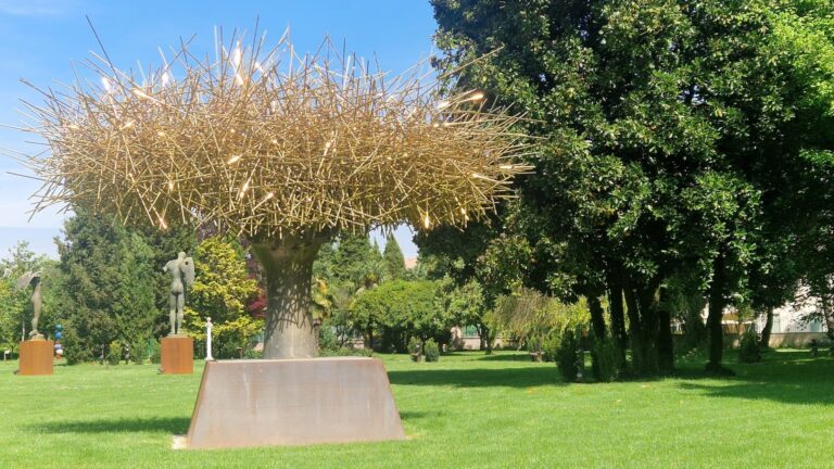 WhatsApp Image 2025-04-30 at 14.58