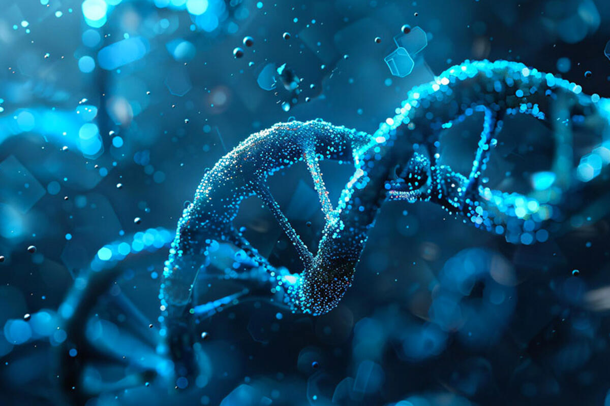 bergamasco-microbioma-e-genomica-dna