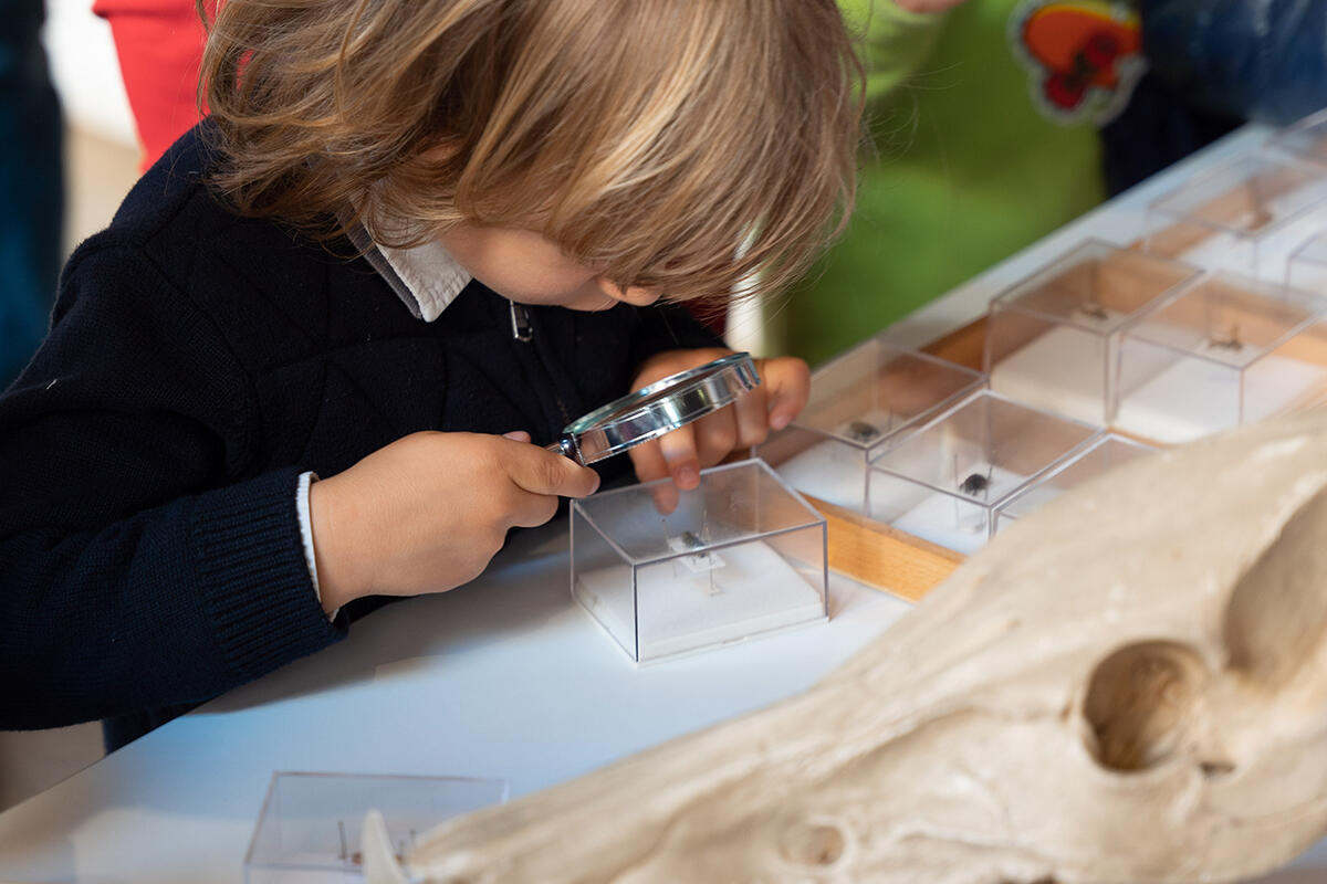 biodiversita-famiglie-al-museo