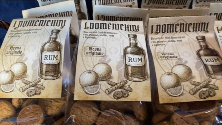 WhatsApp Image 2025-08-01 at 16.40