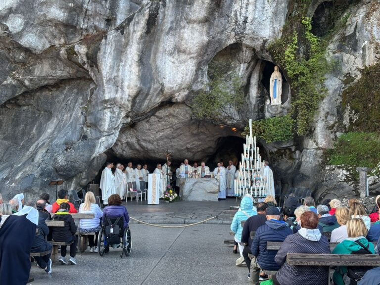 WhatsApp Image 2025-09-12 at 12.23