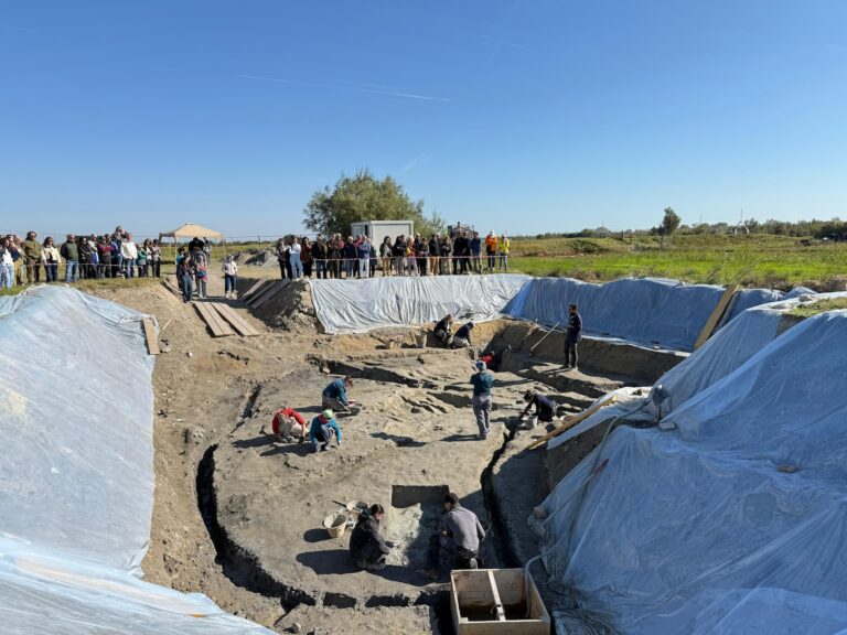 WhatsApp Image 2025-10-24 at 14.52