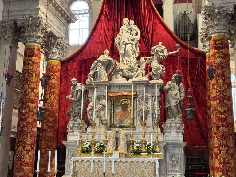 WhatsApp Image 2025-11-14 at 13.35