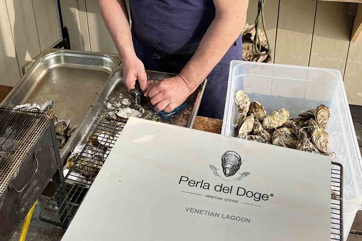 perla-del-doge-apertura-ostriche