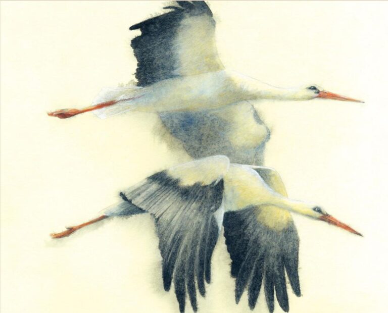 WhatsApp Image 2025-10-07 at 19.31