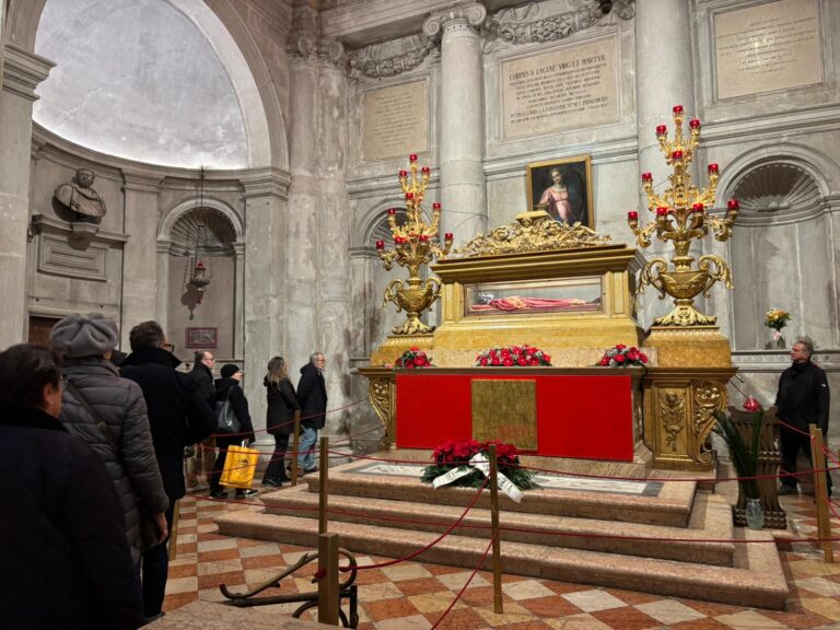 WhatsApp Image 2025-12-17 at 12.56