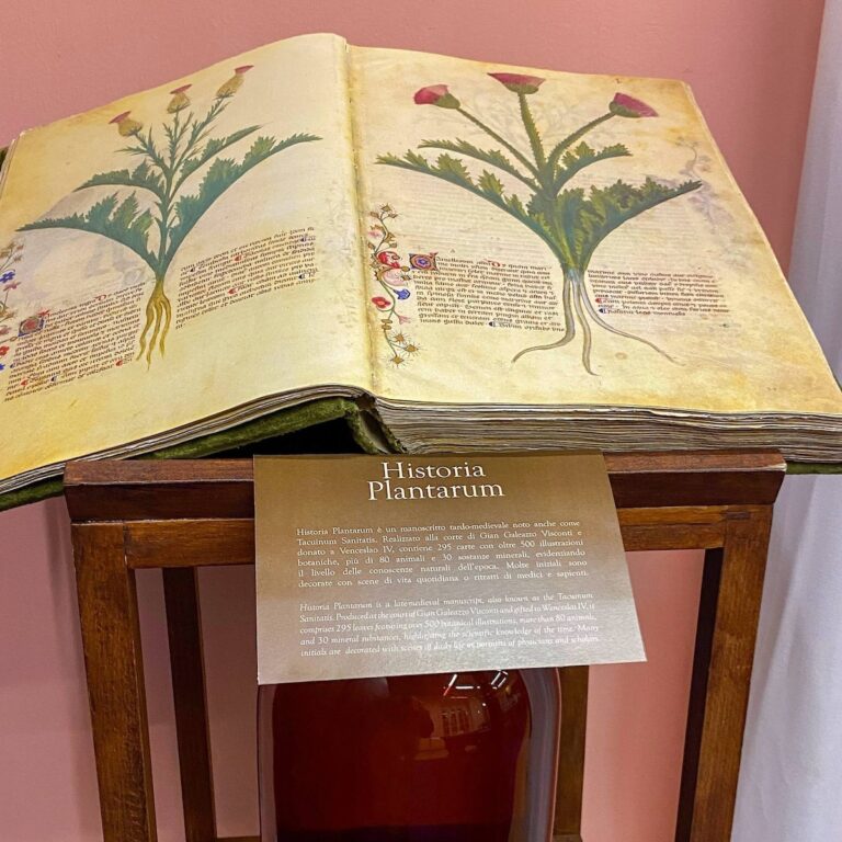 597873348_1403532407810443_3015202483262019181_n